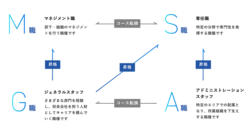 コース等級制度